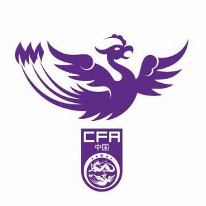 U18女足集训名单：王洪亮挂帅姜宁出任训练员，共25名球员入选